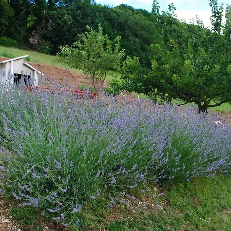 Agriturismo La Cerasa Fabriano